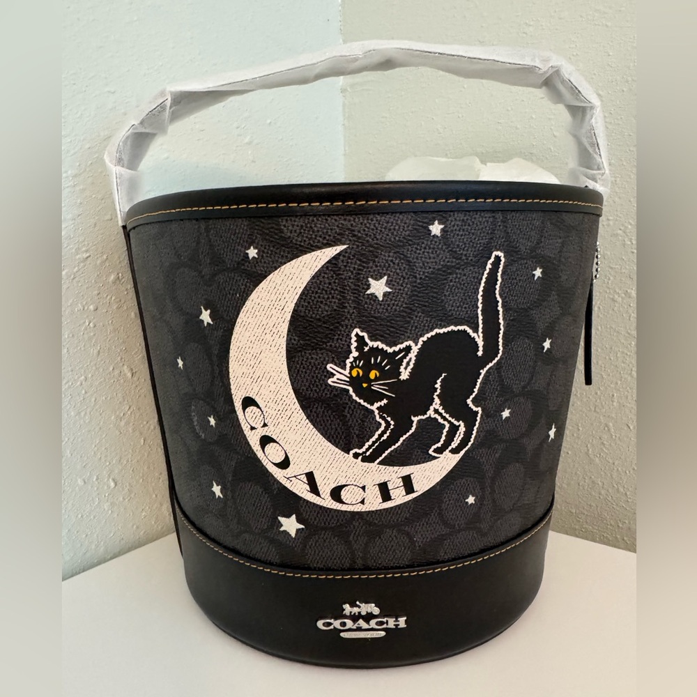 🎃Coach Graphic Bucket in Signature Canvas